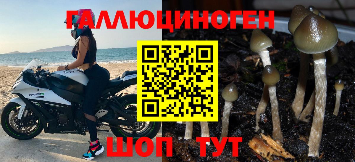 Галлюциногенные грибы Psilocybine cubensis  Галлюциногенные грибы мухоморы  Вход с VPN  Сургут 