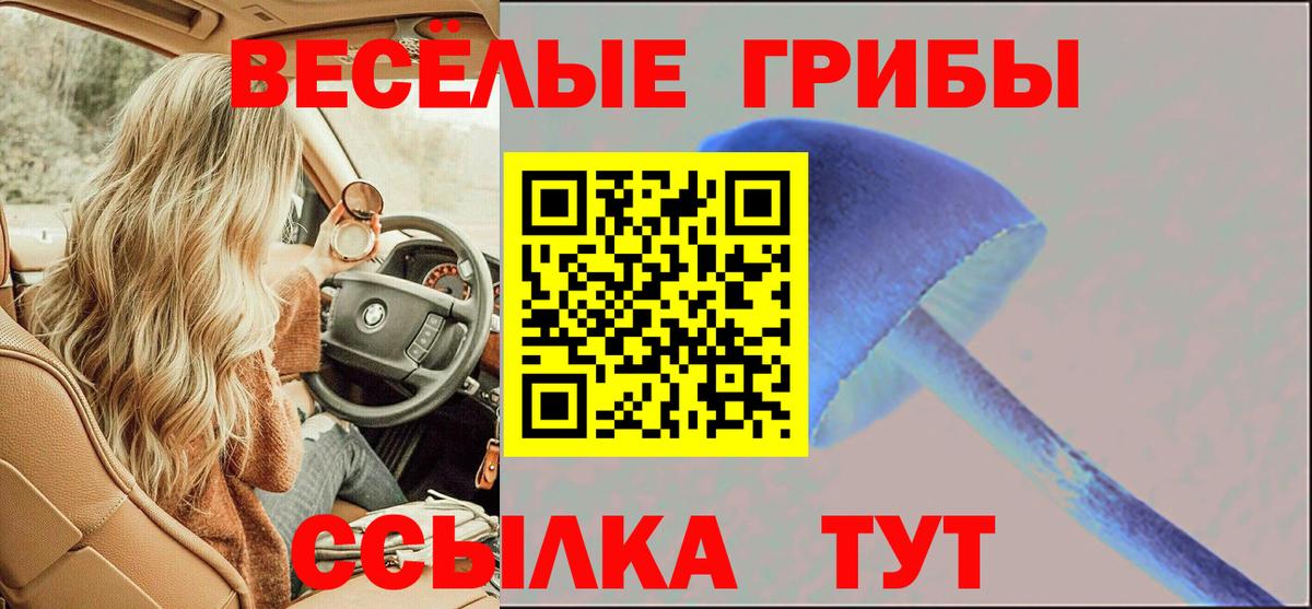 Псилоцибиновые грибы Psilocybine cubensis Сургут